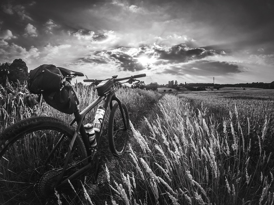 Elsché Eigelaar moes in 2020 letterlik en figuurlik leer stap. Foto: Unsplash
